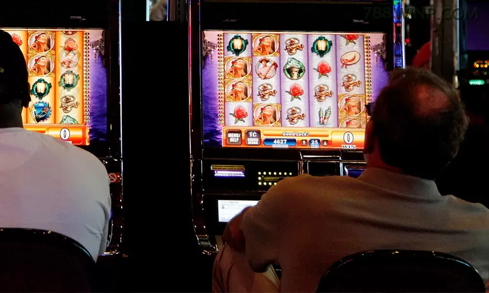 Slots 788win - Sweet Bonanza e caça-níqueis populares